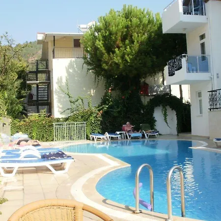 Tolan 3*