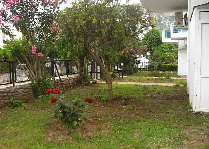 Tolan